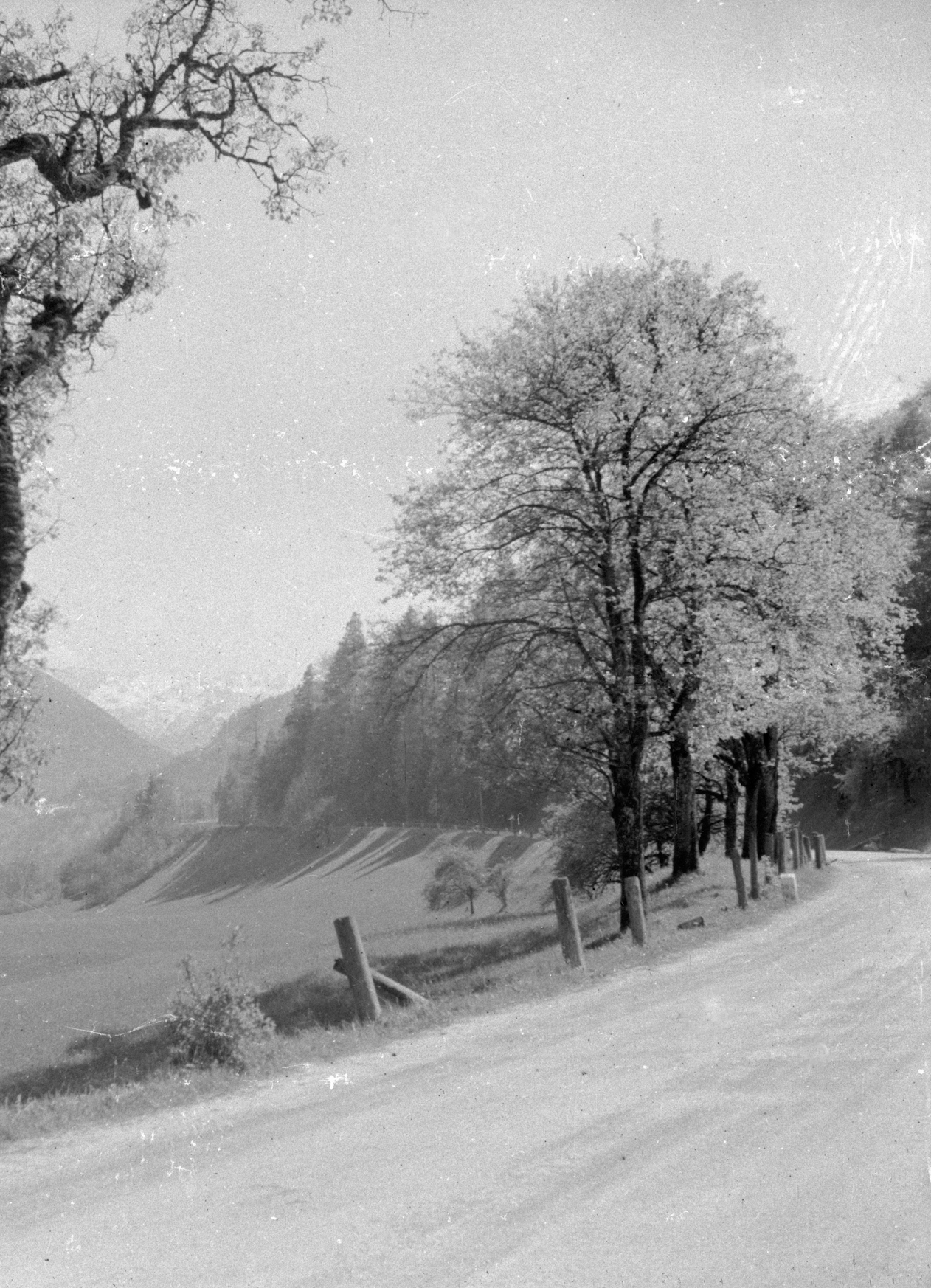 Market Square — Windischgarsten, Austria, 1945